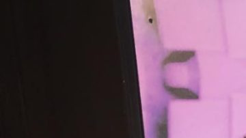 Rosie Mercado Face The Truth HipLatina