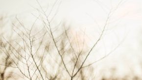 Self care for women of color HipLatina