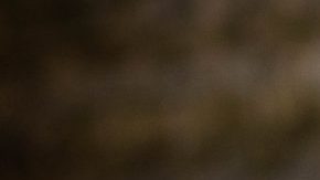 Photo: Unsplash/@oneone_images