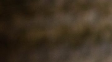 Photo: Unsplash/@oneone_images