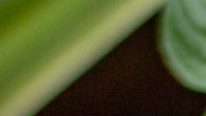 Photo: Unsplash/@bonniekdesign