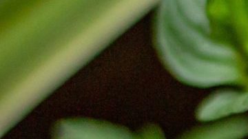 Photo: Unsplash/@bonniekdesign