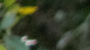 Photo: Unsplash/@giovannipoveda51