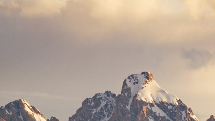 Photo: Unsplash/plasticmind