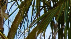 Photo: Unsplash/@juanrojas