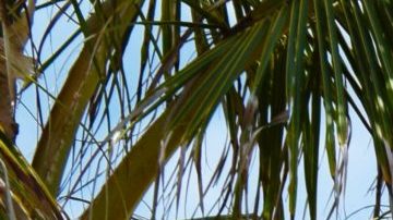 Photo: Unsplash/@juanrojas