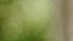 Photo: Unsplash/@juli4cmbr4