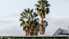 Photo: Unsplash/Nathan Dumlao