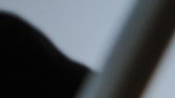 Photo: Unsplash/@omarlopez1