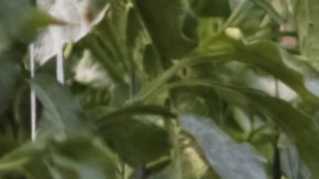 Photo: Unsplash/@richardconr