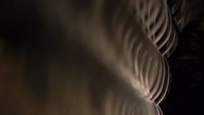 WOC and over-productivity HipLatina