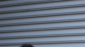 #TakeBackLatina movement HipLatina