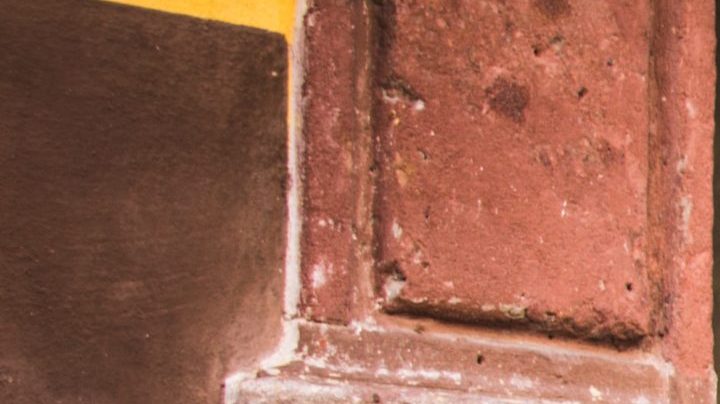 Photo: Unsplash/@bernardojbp