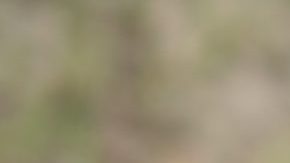 Bilingual kids Hiplatina