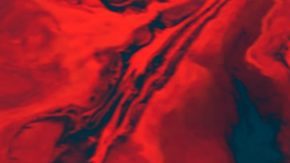 Photo: Unsplash/@cassi_josh