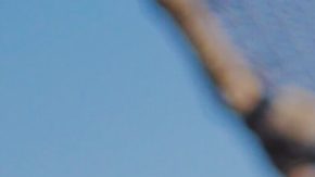 Photo: Unsplash/ColePatrick