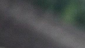 Photo: Unsplash/@osac