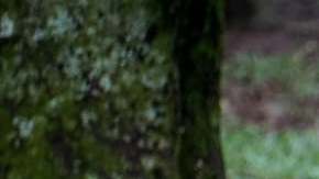 Photo: Unsplash/@gabrielizalo