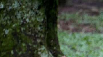 Photo: Unsplash/@gabrielizalo