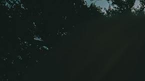 Photo: Unsplash/@silverformymonsters