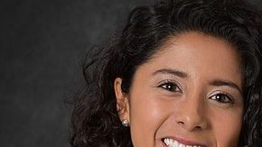 Photo: Wikimedia/Melvic Degracia