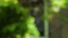 Fashion Pieces Dominicans Would Love