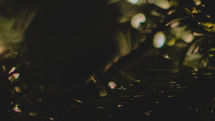 Photo: Unsplash/@dinpanag