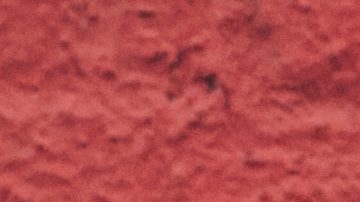 Photo: Unsplash/@devn