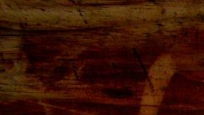 Photo: Unsplash/@glencarrie