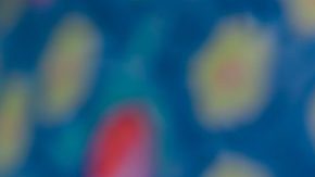 Photo: Unsplash/@mbrunacr