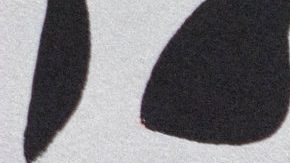 Photo: Unsplash/@mrtt