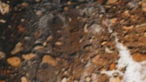 Photo: Unsplash/@eyeforebony