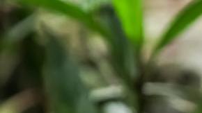 Photo: Unsplash/@tiagoclaro