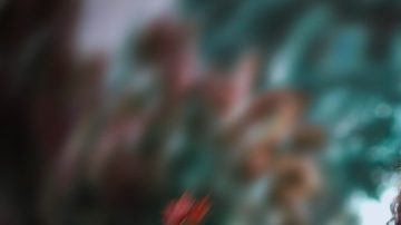 Afro-Latina spiritual rituals HipLatina