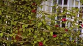 'Siempre Bruja’ Debuts on Netflix February 2019 HipLatina