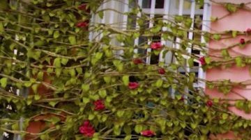 'Siempre Bruja’ Debuts on Netflix February 2019 HipLatina