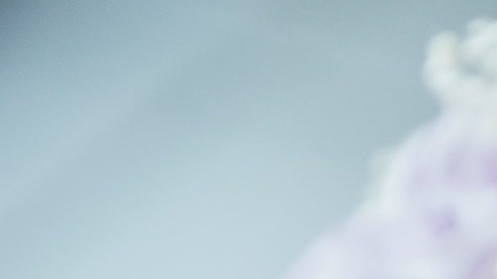 Photo: Unsplash/@beatriz_perez