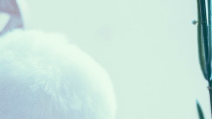 Photo: Unsplash/@jamie542