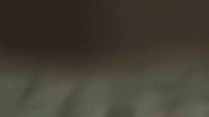 Photo: Unsplash/@mariahashby