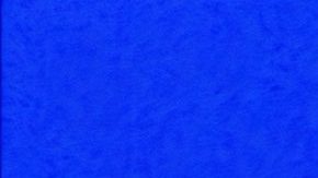 Photo: Unsplash/@morningbrew