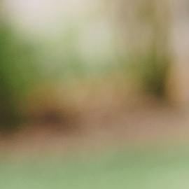 Photo: Unsplash/@eyeforebony