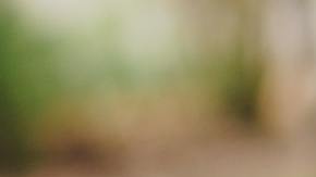 Photo: Unsplash/@eyeforebony