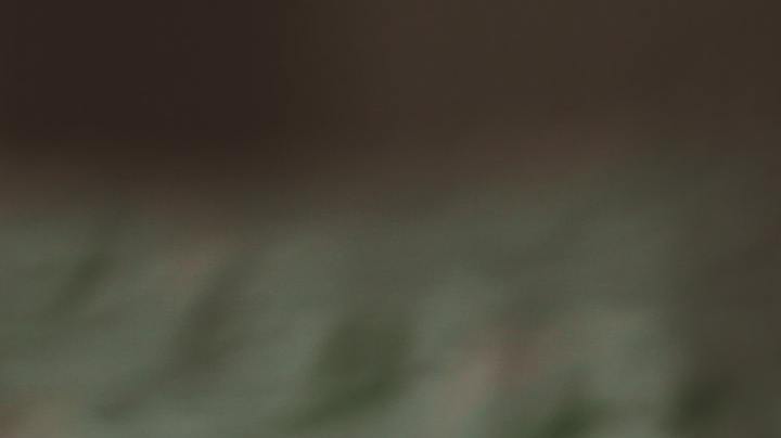 Photo: Unsplash/@mariahashby