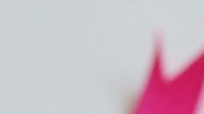 Photo: Unsplash/@jessbaileydesigns