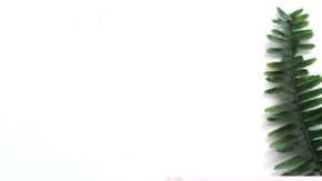 Photo: Unsplash/@gabriellefaithhenderson