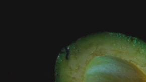 Photo: Unsplash/@louishansel