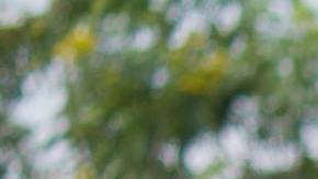 Photo: Unsplash/@josiah123