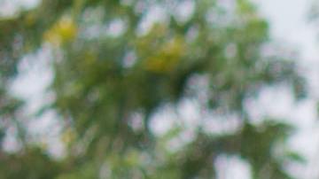 Photo: Unsplash/@josiah123