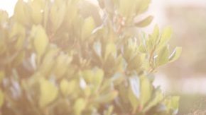 Fitness Apps HipLatina