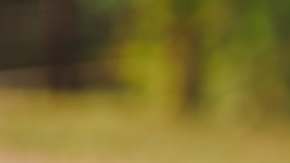 Photo: Unsplash/@eyeforebony